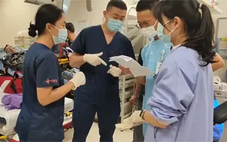 Flight stretcher medical escort